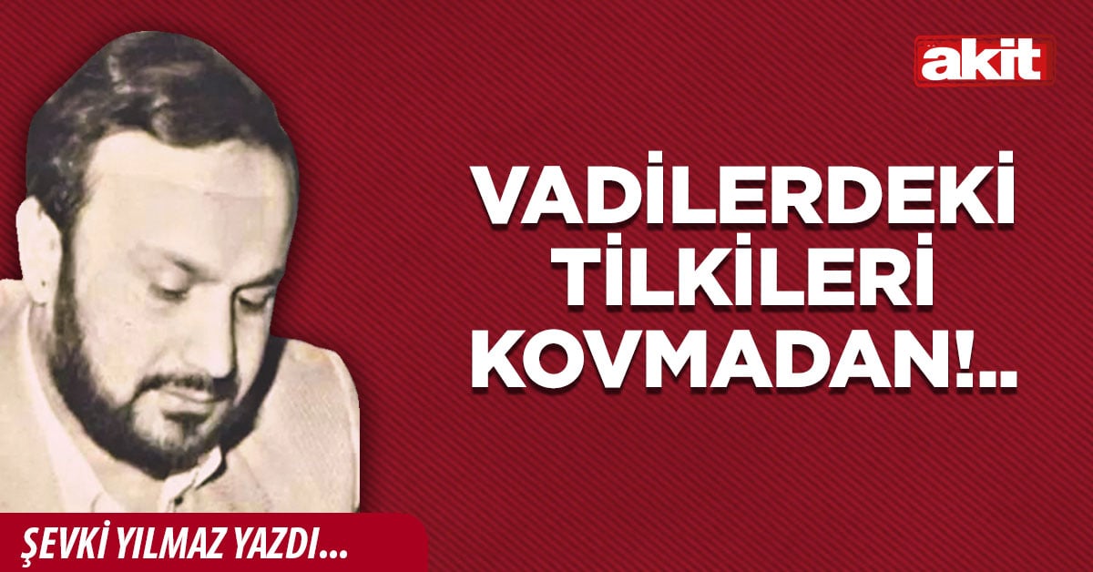 Vadilerdeki tilkileri kovmadan!..